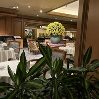 イル・テアトロ - 