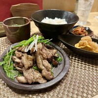 鶏割烹 まことや - 