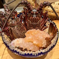 鮨 しお津 - 本日の伊勢海老