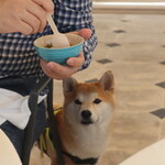 ラ ターブル ドゥ ジョエル・ロブション - 