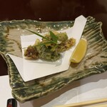 Kaiseki Fujiki - 