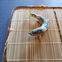 茶禅華 - 
