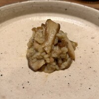 Selvaggio - 