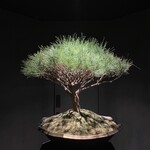 #肉といえば松田 - 