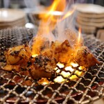 炭火焼肉ホルモンさわいし - ホルモン