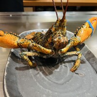 京風鉄板 はせ川 - 