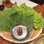 焼肉 スタミナ苑 - サンチュ、エゴマの葉、味噌