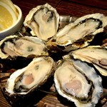 raw Oyster in shell