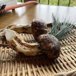 あぜみち山荘 - 