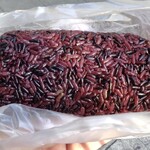 青島飯糰 - 綜合肉鬆（紫米）