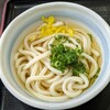 たぬき屋 - かけうどん並