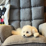 Re:s cafebar&sweets - 