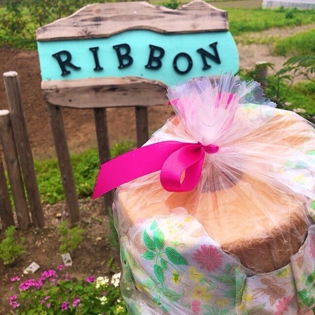 Ribbon photo 2