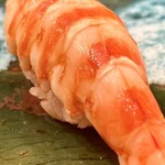 鮨楽座 八の樹 - 