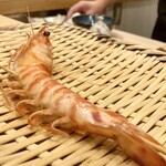 鮨楽座 八の樹 - 