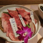 Yakiniku Tokuju Ke Pureisu - 