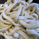 柿屋 うどん - うどん大盛