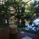 Jindaiji Soba Aokiya - 