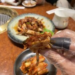 焼肉 スタミナ苑 - 2023年9月