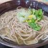 Soba Shougorou - 塩かけそば（冷）！