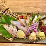 Sardine sashimi