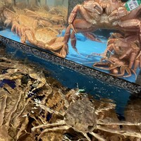かに道楽 梅田店 - 
