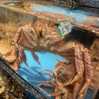 かに道楽 梅田店 - 