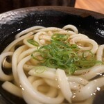 本場さぬきうどん 親父の製麺所 - 