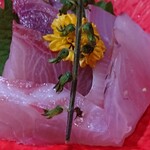 魚料理・もつ鍋  山咲き - お刺身。アップにし過ぎて色が逆に伝わり辛くなってすみません。かつおには生姜、その他にはちゃんと摺ったワサビ。真鯛、ぶり、カンパチに確かスズキ(魚好きの友曰く)。白身の魚判別苦手。でも、美味しい。