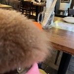 アガリコ 新宿 オリエンタルビストロ - 毛がふわふわ