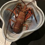 日本料理 TOBIUME - 