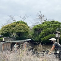 京都 吉兆 嵐山本店 - 