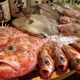 与日本海全国3个据点的渔民直接签约采购的鲜鱼