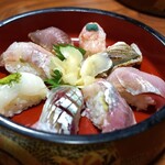 Sushi Koma - 