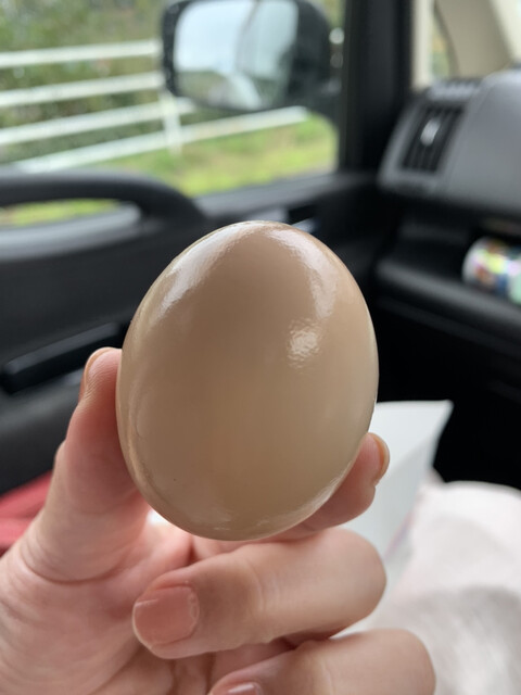 タムラ電子スモークハウス - 小野新町（その他）の写真