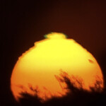 そば処 砂武縞 - 