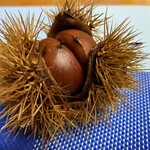 菓子舗　豆蔵 - 