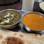 Robin's Indian Kitchen - 左:パラクパニール(チーズ入り) 右:ココナツフィッシュカレー