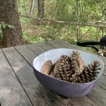 LIAEU - Table Decoration