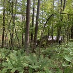 LIAEU - The view of the restaurant coming into sight