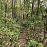 LIAEU - Approach from the Parking Lot to the Restaurant