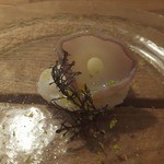 コルツ - 2013/10　真蛸！デカイ！