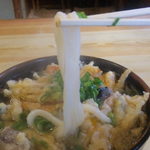 よこた手打うどん - にょーん (無断使用)