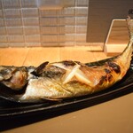 産直さばと青魚 伏見あおい - 