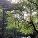 小太郎茶屋 - 日差しが眩しい