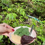 小太郎茶屋 - 草だんご　柔らかッ！