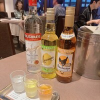 Russian Restaurant ROGOVSKI 銀座 - 