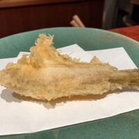 江戸前晋作 - 