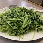 Botan En - 青菜とにんにくの炒め1500円、この日は豆苗だった。にんにくかなり効いてた。