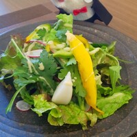 S kashiwa - 